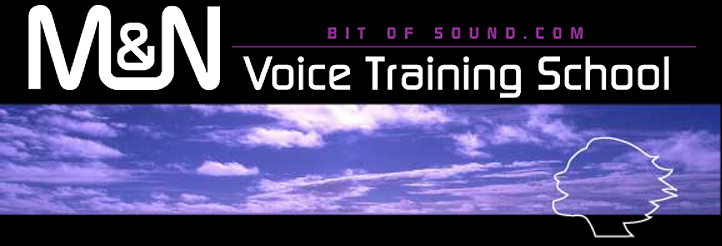 M&N Bit Of Sound　ボイストレーニングスクール